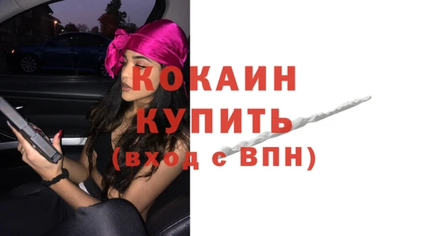 амф Богданович