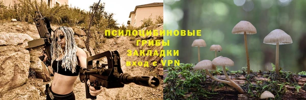 амф Богданович