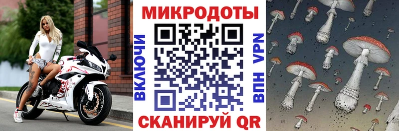 Псилоцибиновые грибы Psilocybine cubensis  как найти   Вятские Поляны 